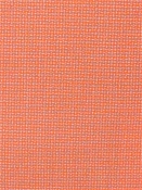 Bliss Guava 48135-0006 Sunbrella Fabric